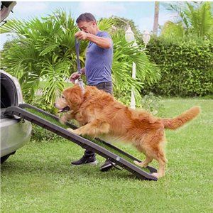 Lightweight Folding Pet Access for Cats and Dogs